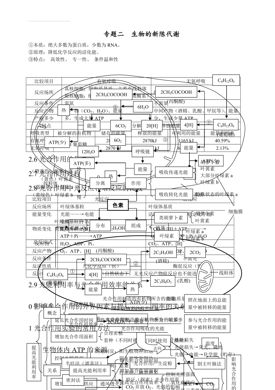 细胞代谢基础知识点(3页).doc_第2页