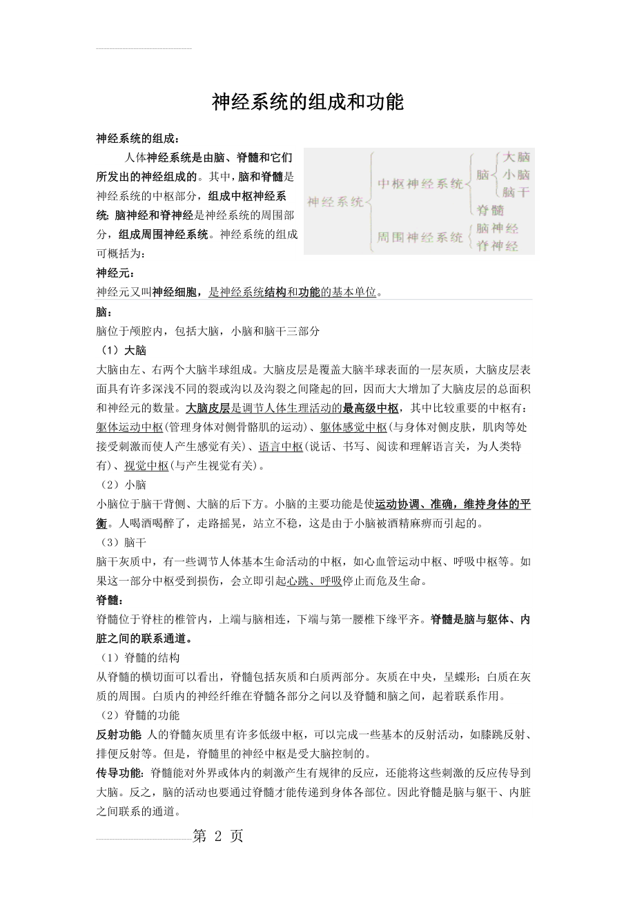 神经系统的组成和功能(4页).doc_第2页