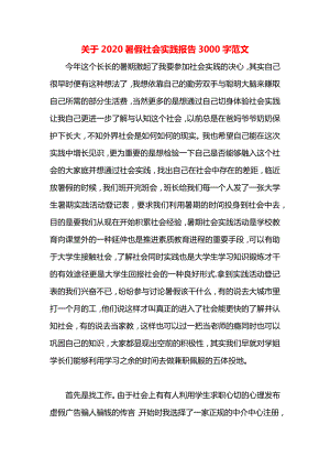 关于2020暑假社会实践报告3000字范文.docx