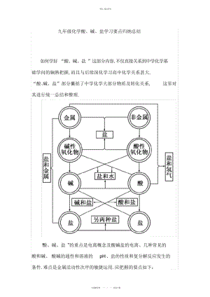 2022年中考化学总复习人教版初中化学九级下册《酸碱盐》学习要点归纳总结.docx