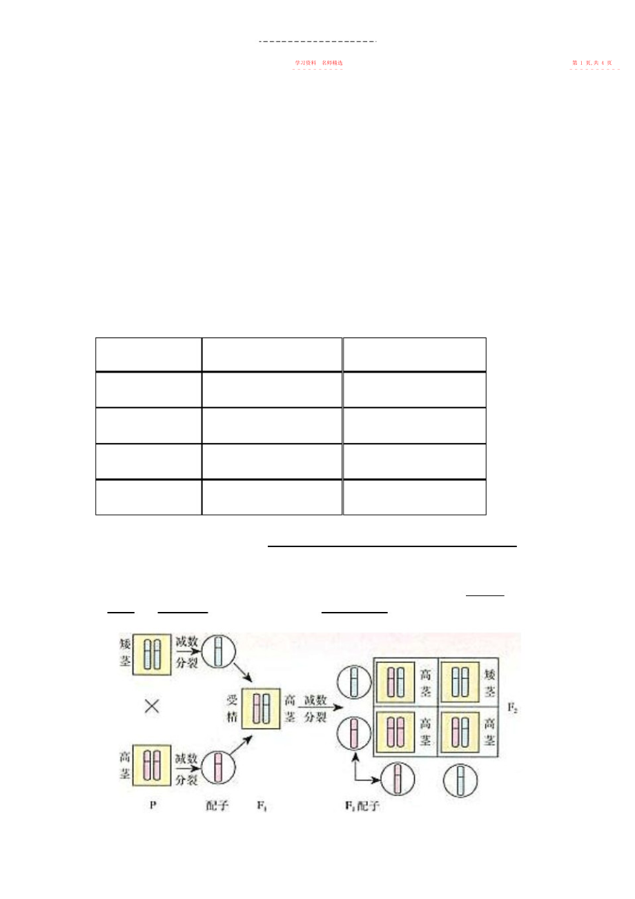 2022年人教版必修二第节《基因在染色体上》学案.docx_第2页