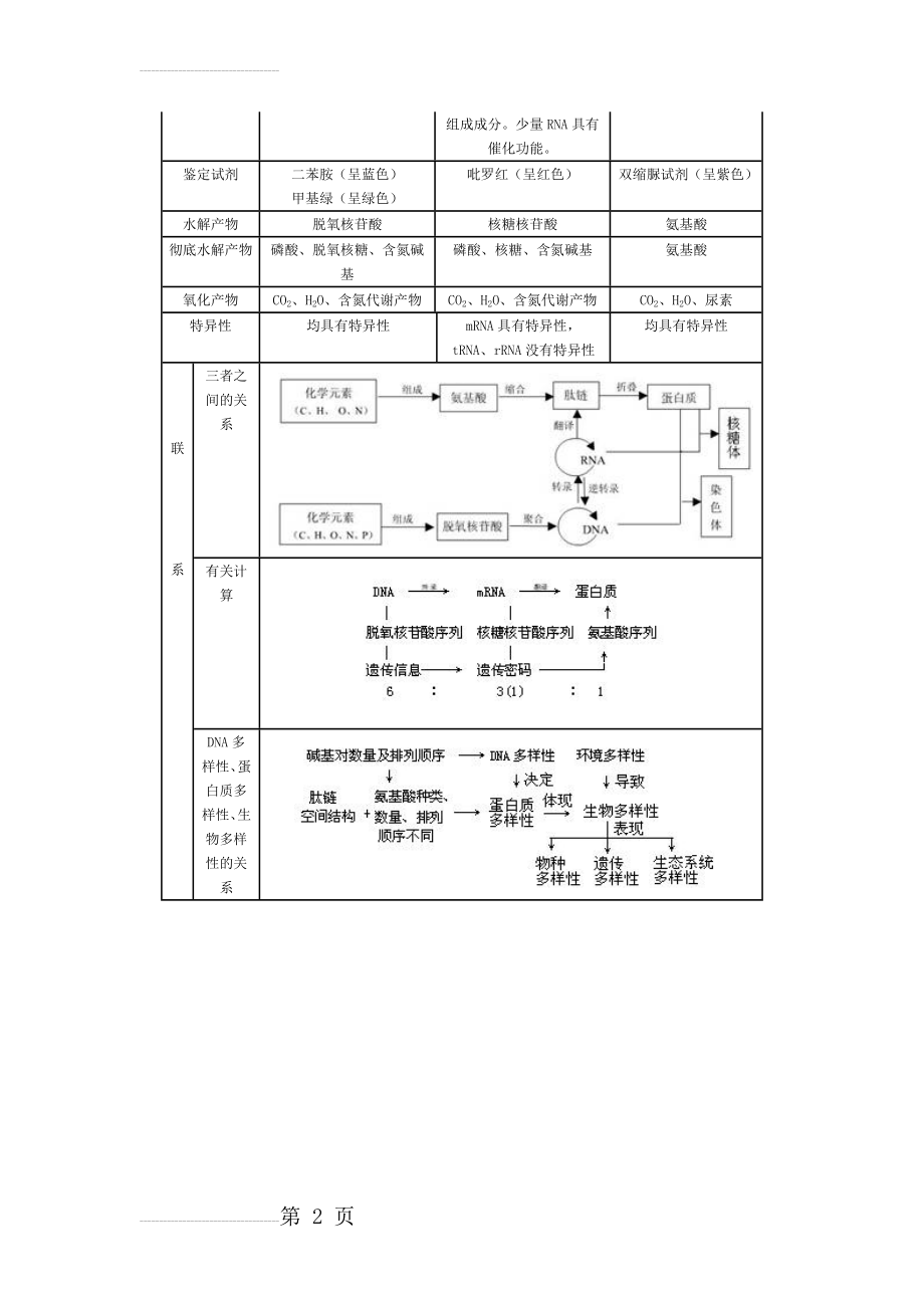 蛋白质与核酸的区别与联系60588(3页).doc_第2页