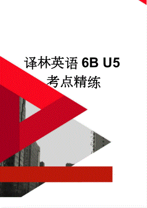 译林英语6B U5考点精练(6页).doc