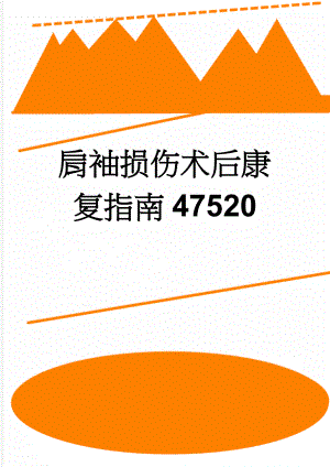 肩袖损伤术后康复指南47520(12页).doc