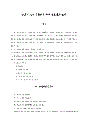 公司发展建议报告.pdf