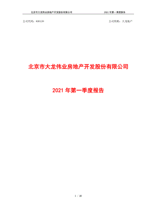 大龙地产：2021年第一季度报告.PDF