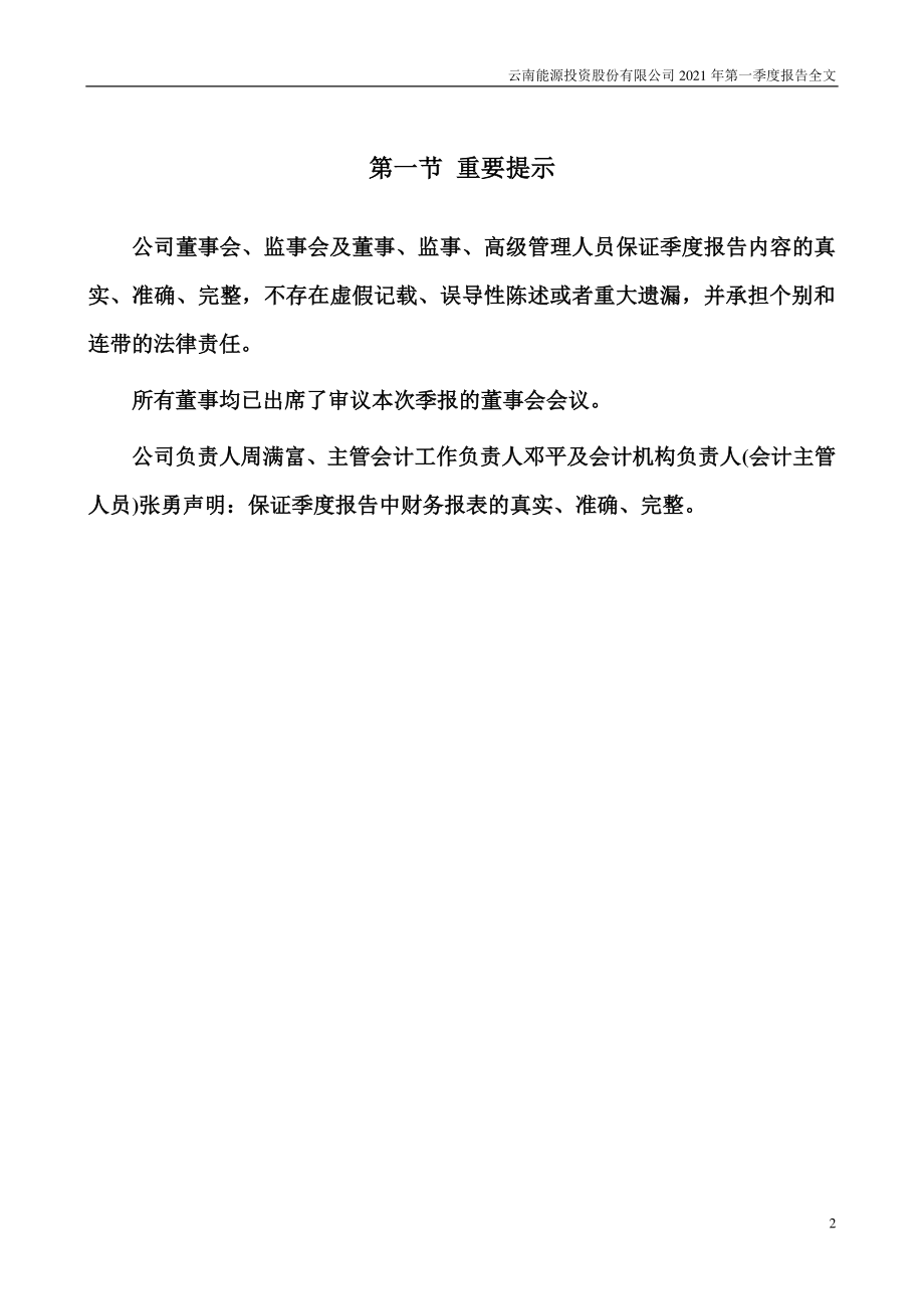 云南能投：2021年第一季度报告全文.PDF_第2页