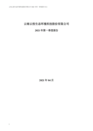 ST云投：2021年第一季度报告全文.PDF