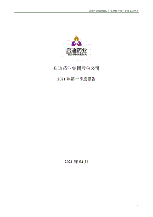 启迪药业：2021年第一季度报告全文.PDF