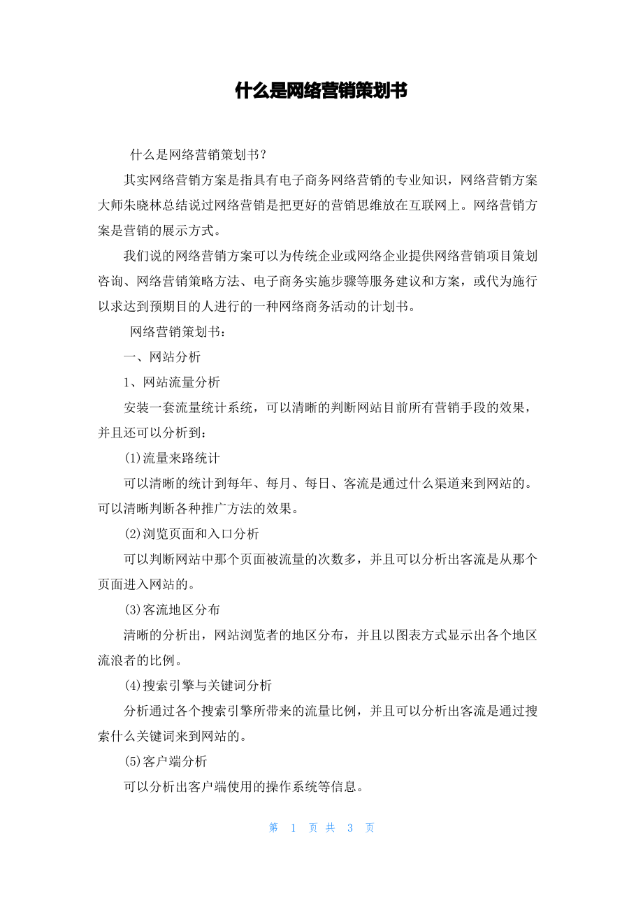 什么是网络营销策划书.pdf_第1页