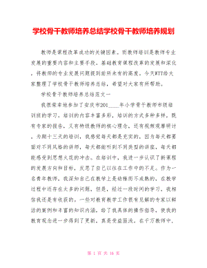 学校骨干教师培养总结学校骨干教师培养规划.doc