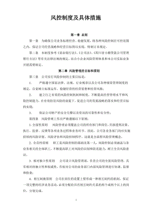 风控制度及具体措施.pdf