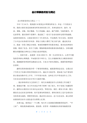 会计师事务所实习周记.pdf