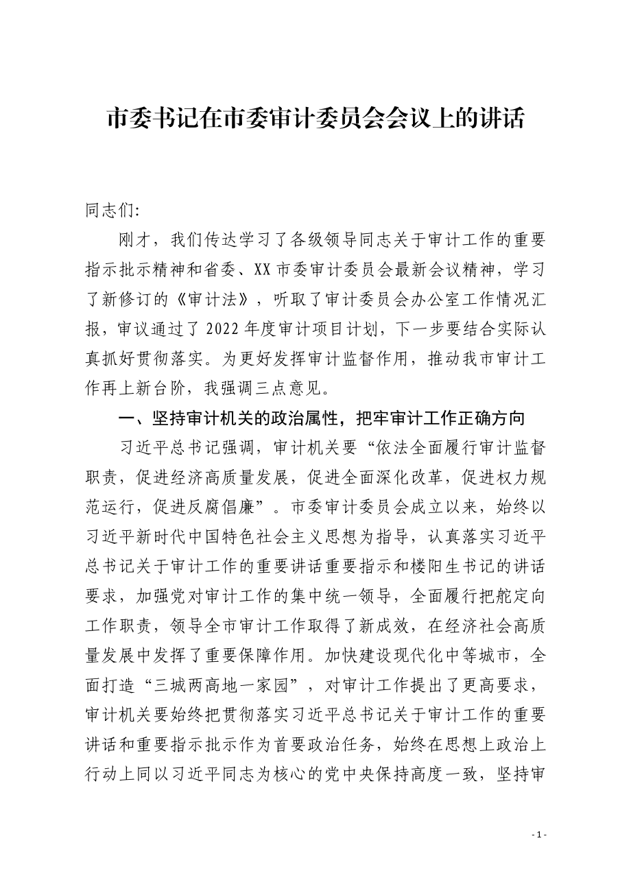 市委书记在审计委员会会议上的讲话.pdf_第1页