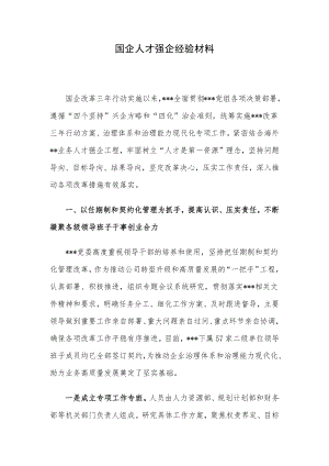 国企人才强企经验材料.docx