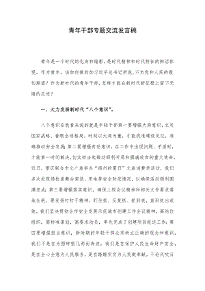 青年干部专题交流发言稿.docx