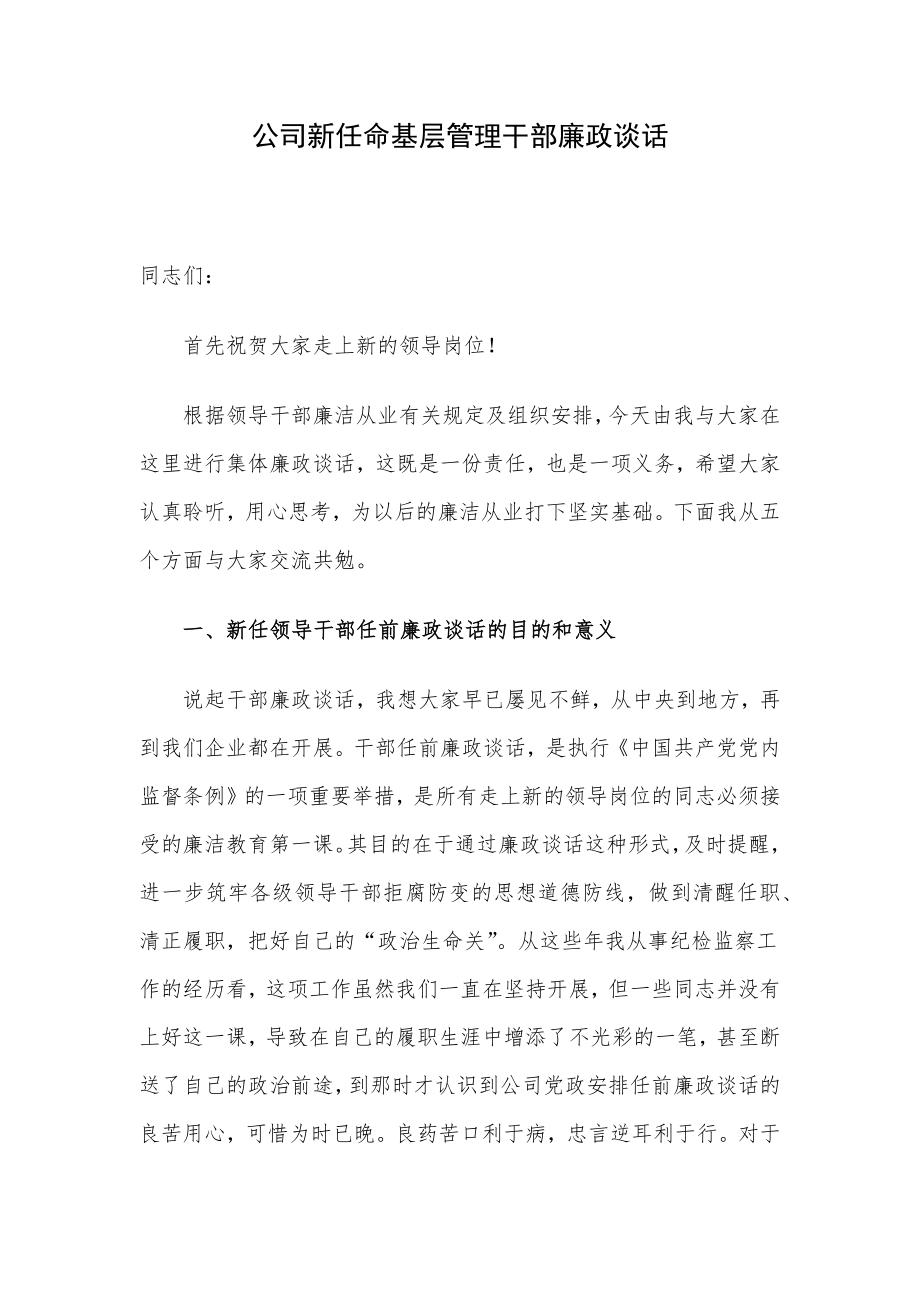 公司新任命基层管理干部廉政谈话.docx_第1页