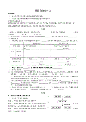 基因在染色体上(导学案).doc