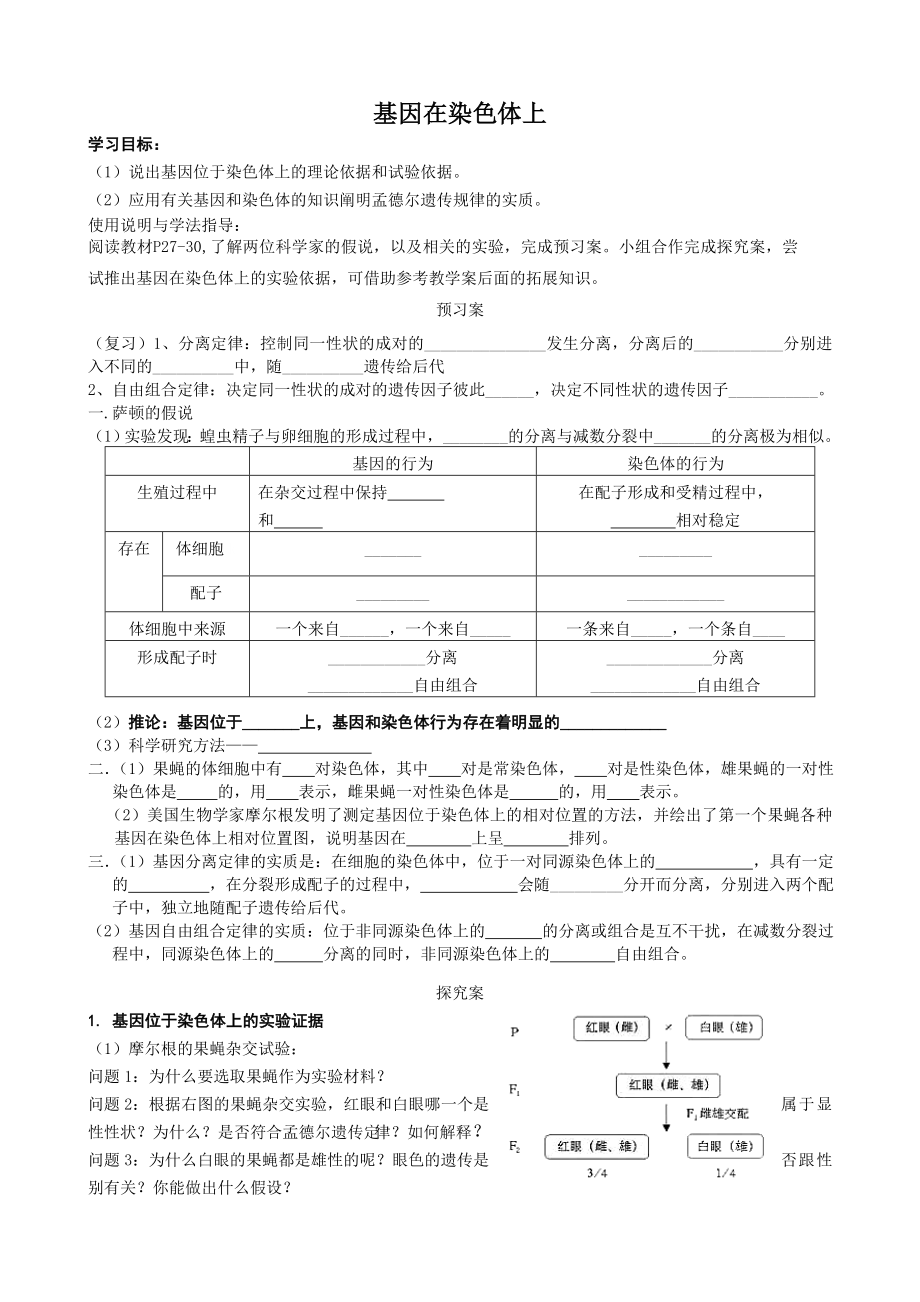 基因在染色体上(导学案).doc_第1页