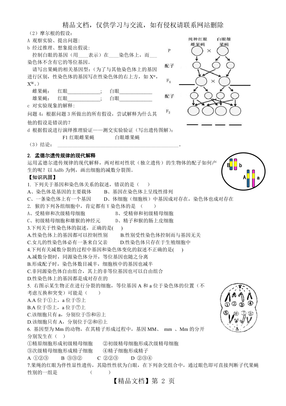 基因在染色体上(导学案).doc_第2页