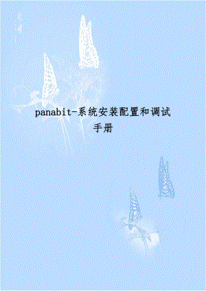 panabit-系统安装配置和调试手册.doc