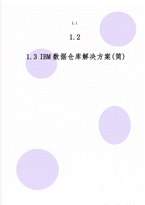 IBM数据仓库解决方案(简)-23页精选文档.doc