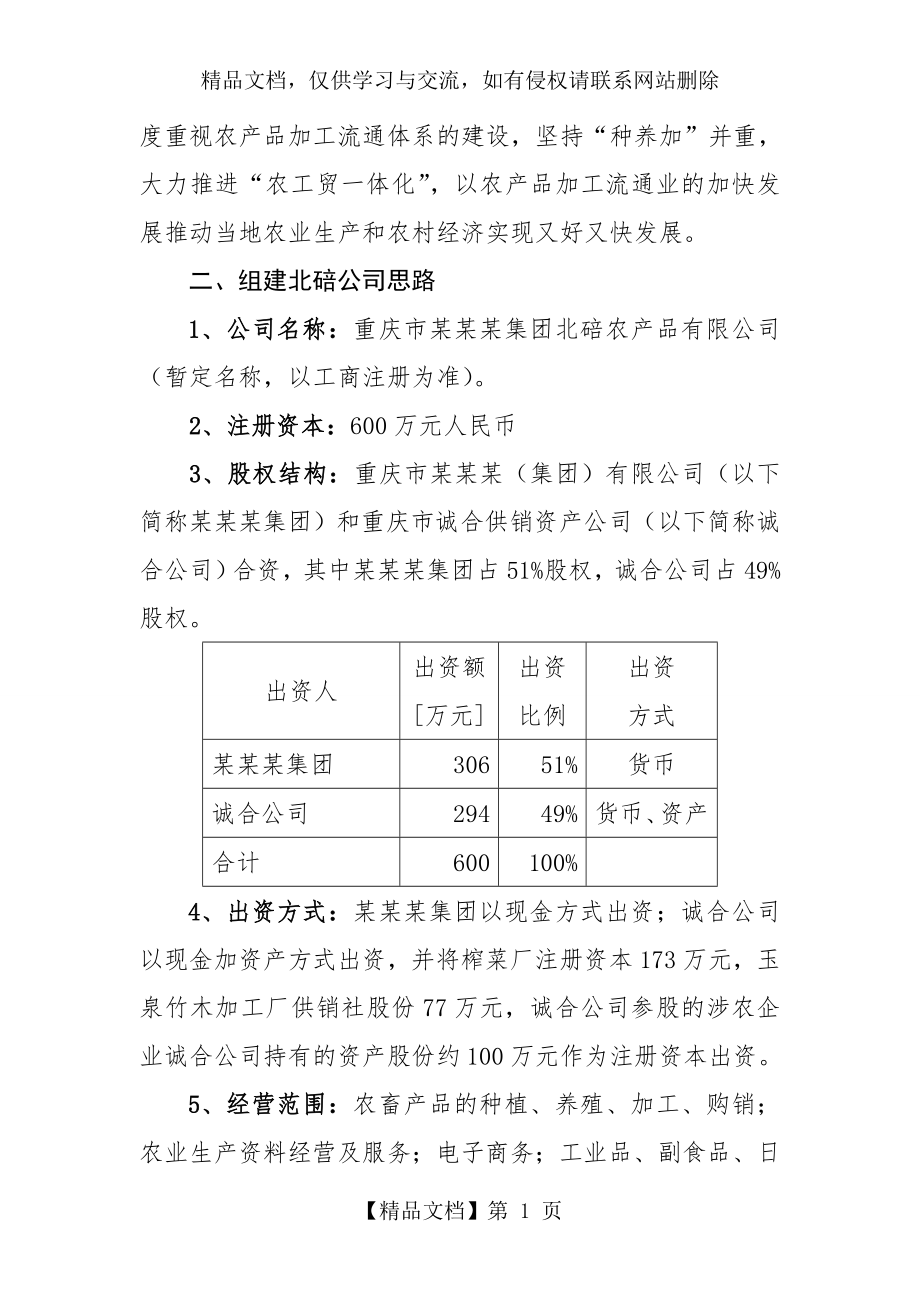 公司组建方案范本.doc_第2页