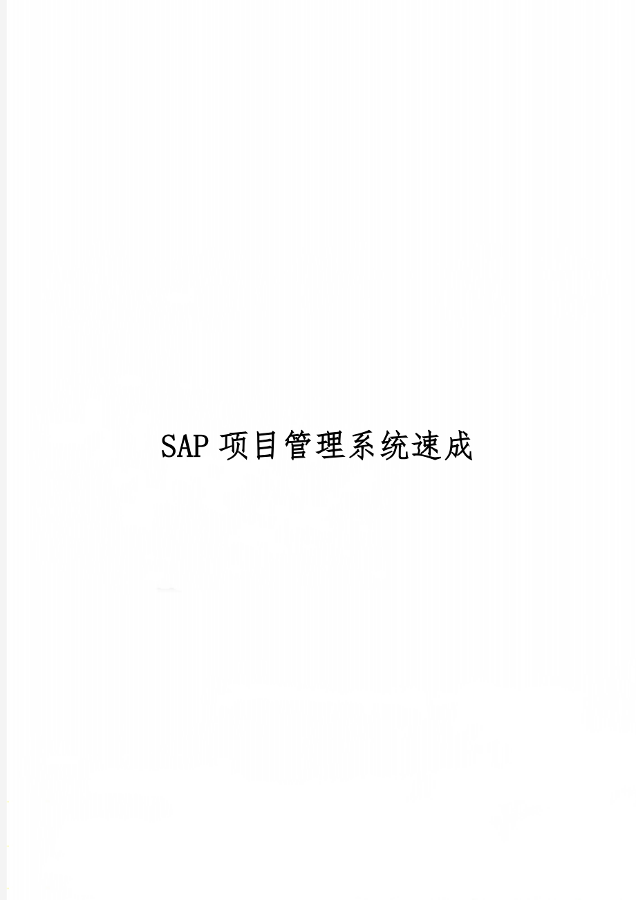 SAP项目管理系统速成精品文档6页.doc_第1页