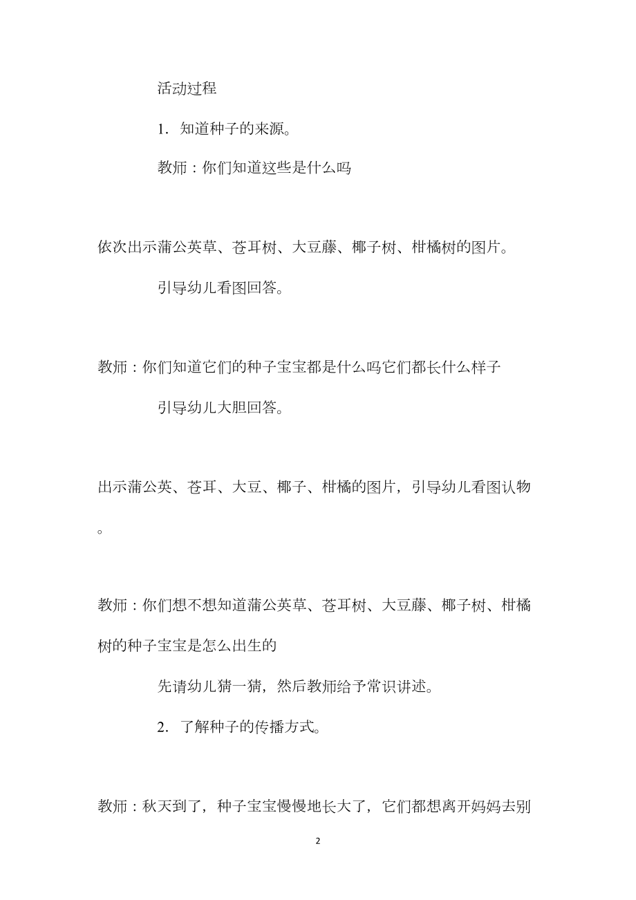 中班主题活动教案：种子的旅行教案(附教学反思).docx_第2页