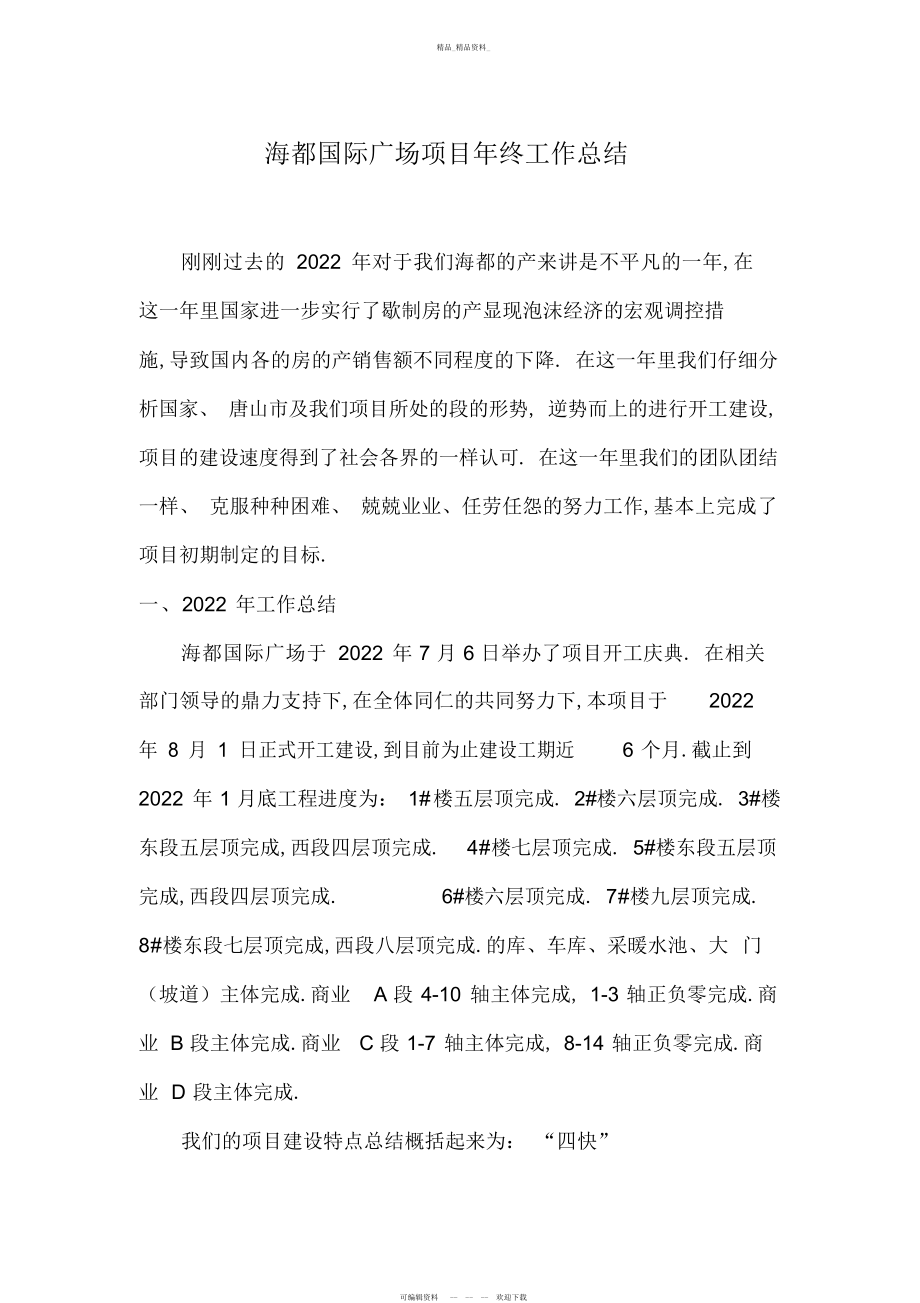 2022年项目公司终工作总结2.docx_第1页