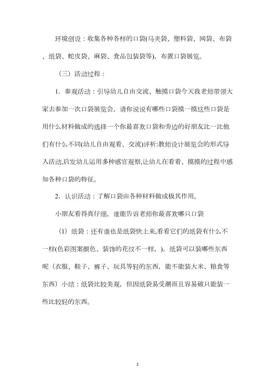 中班科学活动各种各样的口袋教案反思.docx_第2页