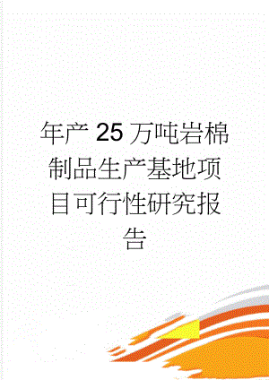 年产25万吨岩棉制品生产基地项目可行性研究报告(78页).doc