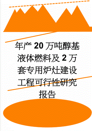 年产20万吨醇基液体燃料及2万套专用炉灶建设工程可行性研究报告(44页).doc