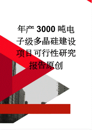 年产3000吨电子级多晶硅建设项目可行性研究报告原创(145页).doc