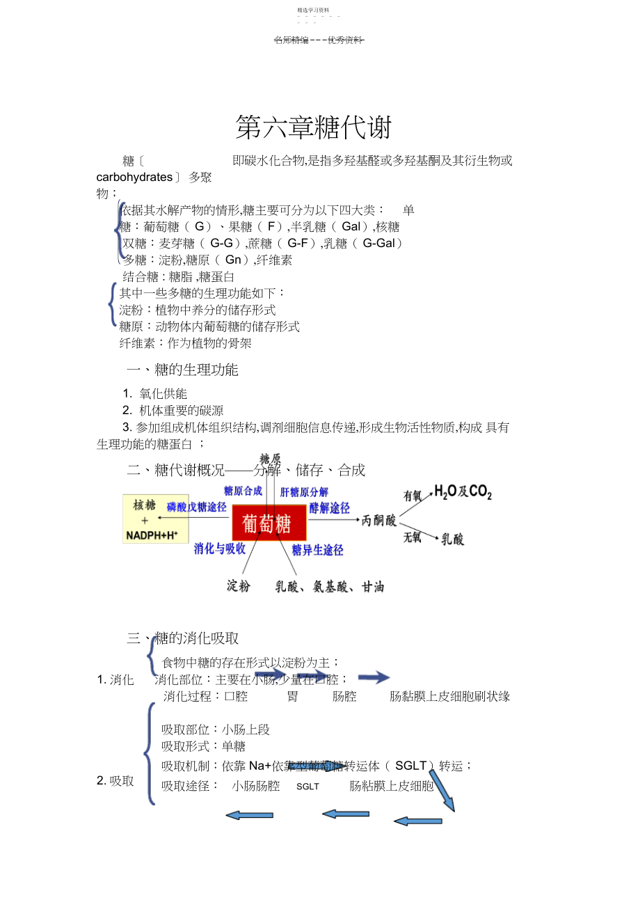 2022年生物化学糖代谢知识点总结 .docx_第1页