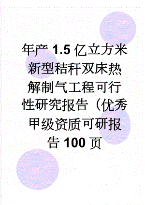 年产1.5亿立方米新型秸秆双床热解制气工程可行性研究报告（优秀甲级资质可研报告100页(91页).doc