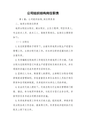 公司组织结构岗位职责.docx