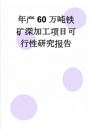 年产60万吨铁矿深加工项目可行性研究报告(60页).doc