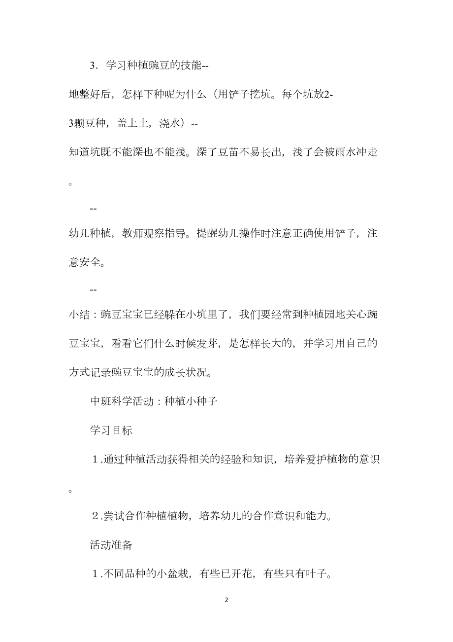 中班种植活动种豌豆教案.docx_第2页