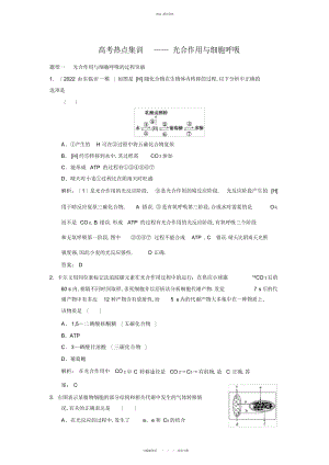 2022年高考热点集训——光合作用与细胞呼吸 .docx