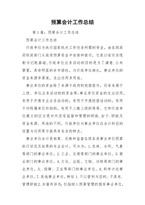 预算会计工作总结.docx