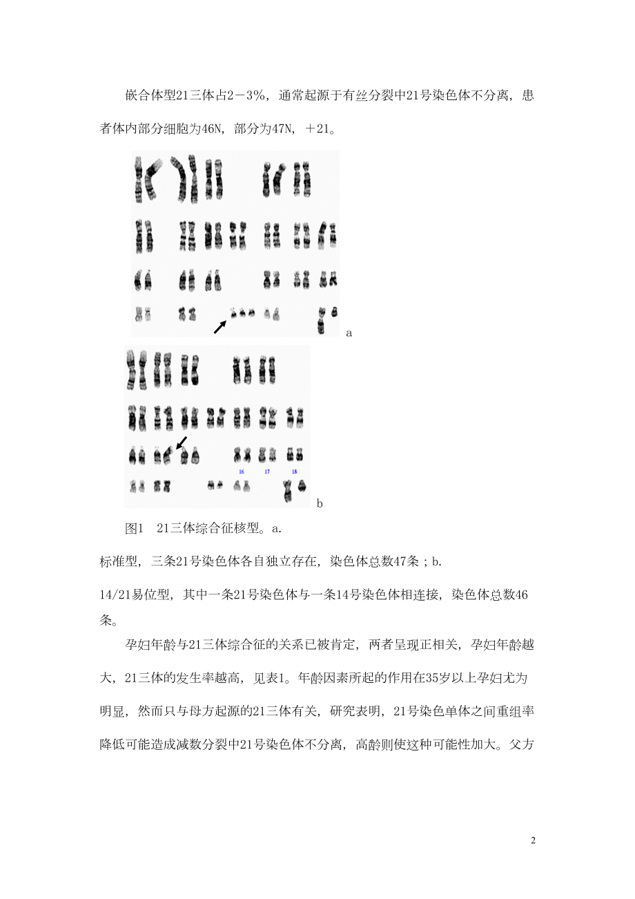 医学专题一常见胎儿出生缺陷诊疗常规.docx_第2页