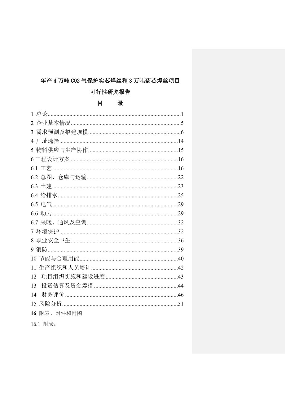 年产4万吨CO2气保护实芯焊丝和3万吨药芯焊丝项目可行性研究报告(62页).doc_第2页