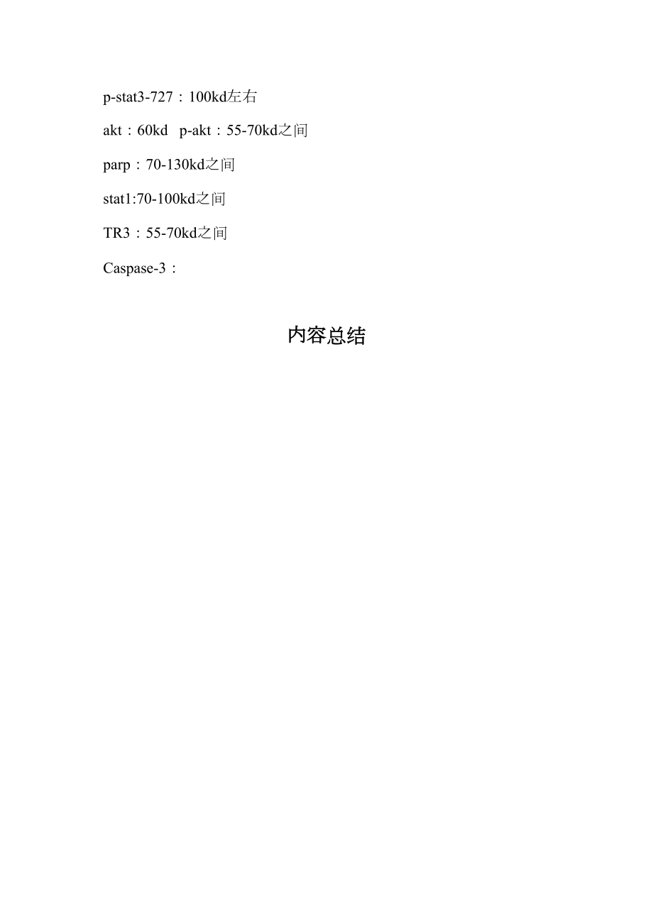 医学专题一常见蛋白抗体分子量.doc_第2页