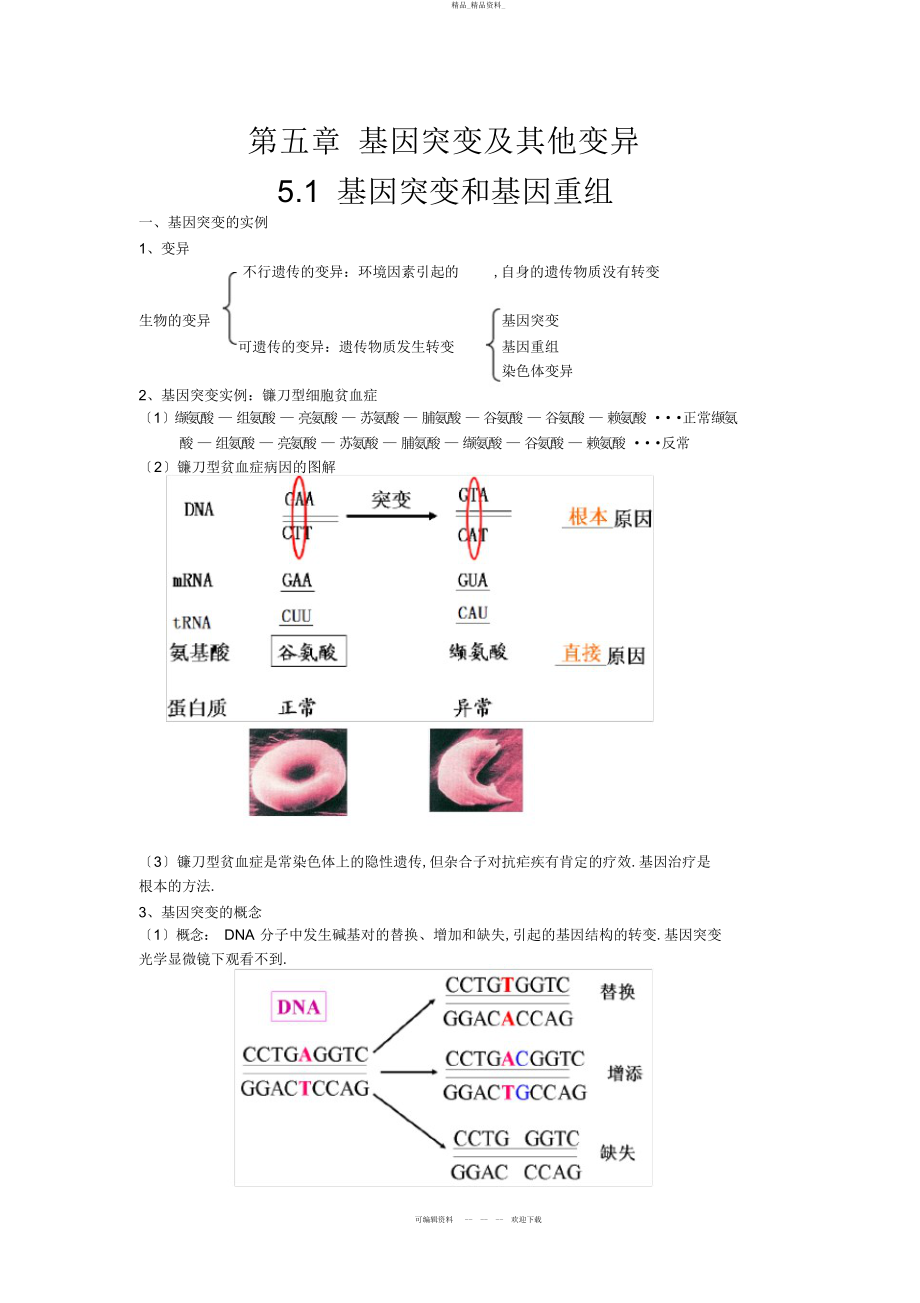 2022年高三生物一轮复习教案--基因突变和基因重组 .docx_第1页