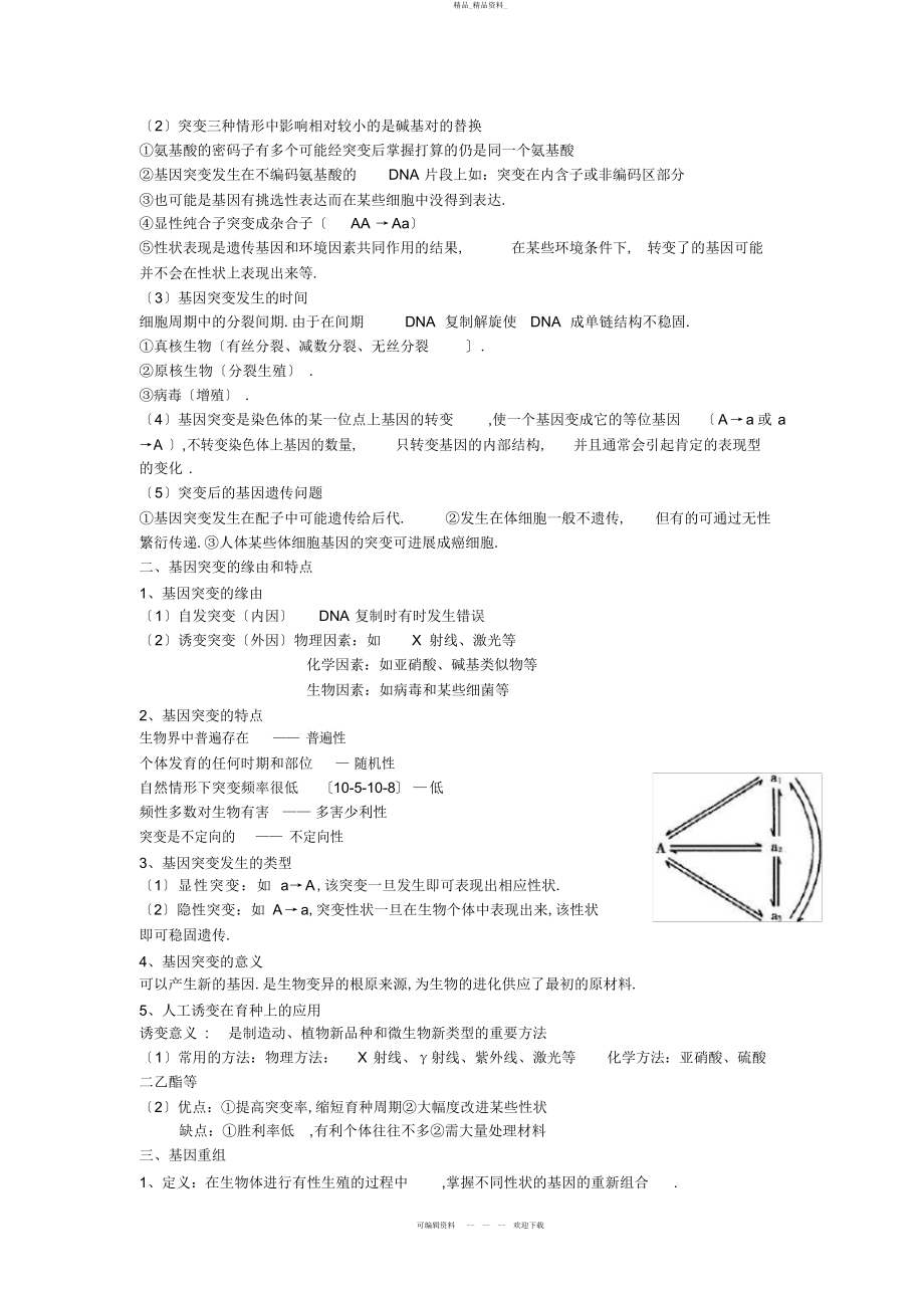 2022年高三生物一轮复习教案--基因突变和基因重组 .docx_第2页