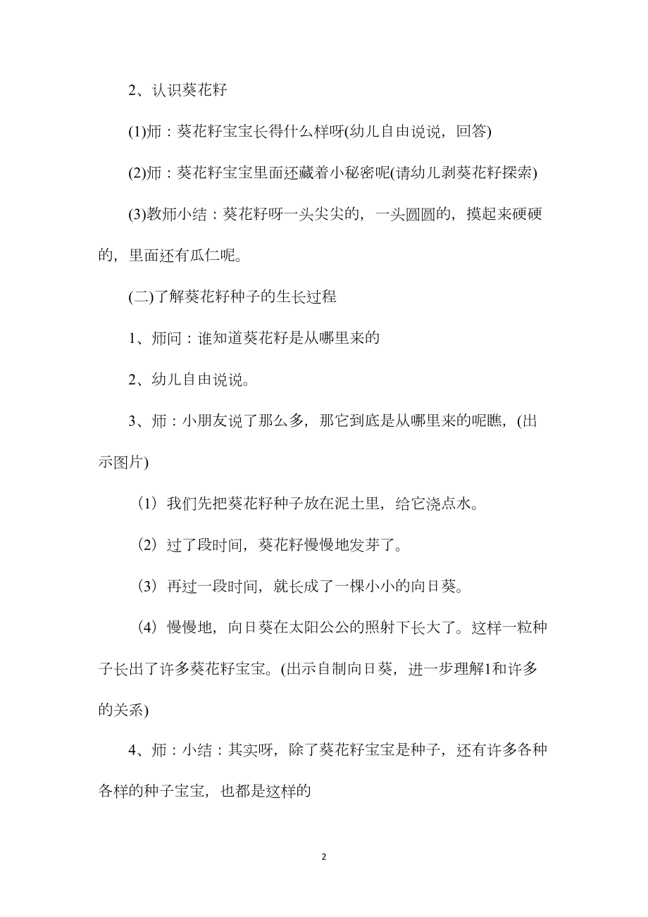 中班科学向日葵教案反思.docx_第2页