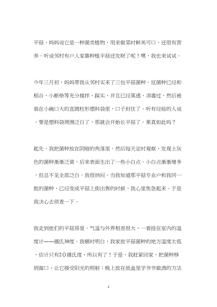 习作5(苏教版第八册语文教案)2.docx_第2页