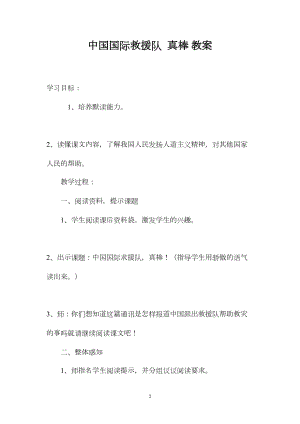 中国国际救援队真棒教案.docx