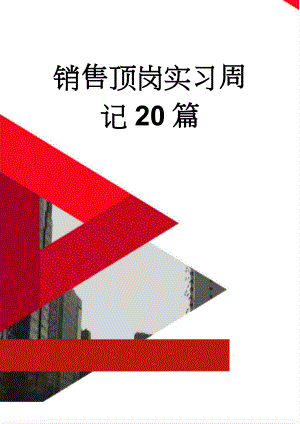 销售顶岗实习周记20篇(25页).doc